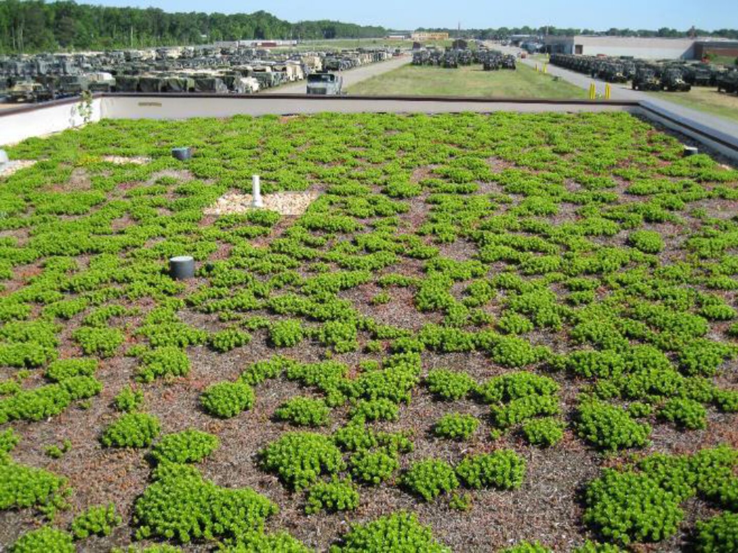 Green roof reduces storm water runoff