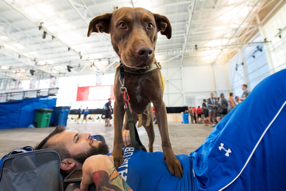 An airman and Zeus, his military service dog, take a break from practice.