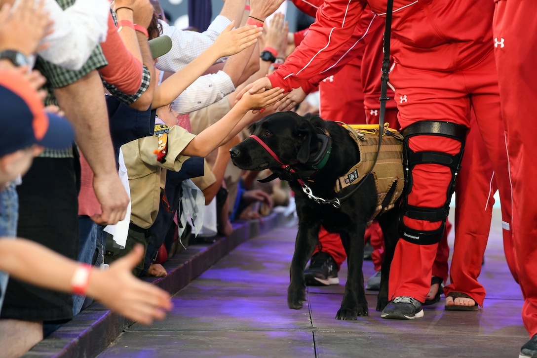 A service dog enters the opening ceremonies with the Marine Corps team.