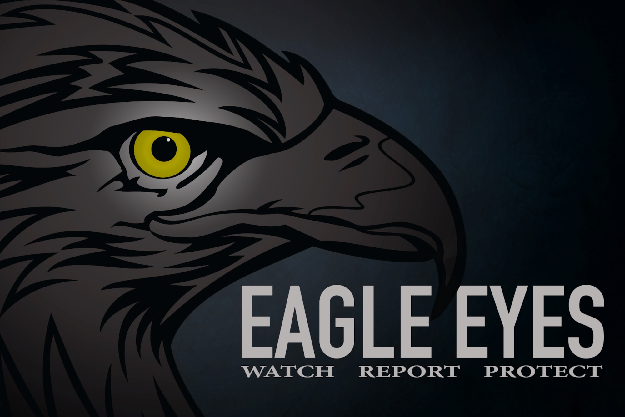 Eagle Eyes: Watch, Report, Protect