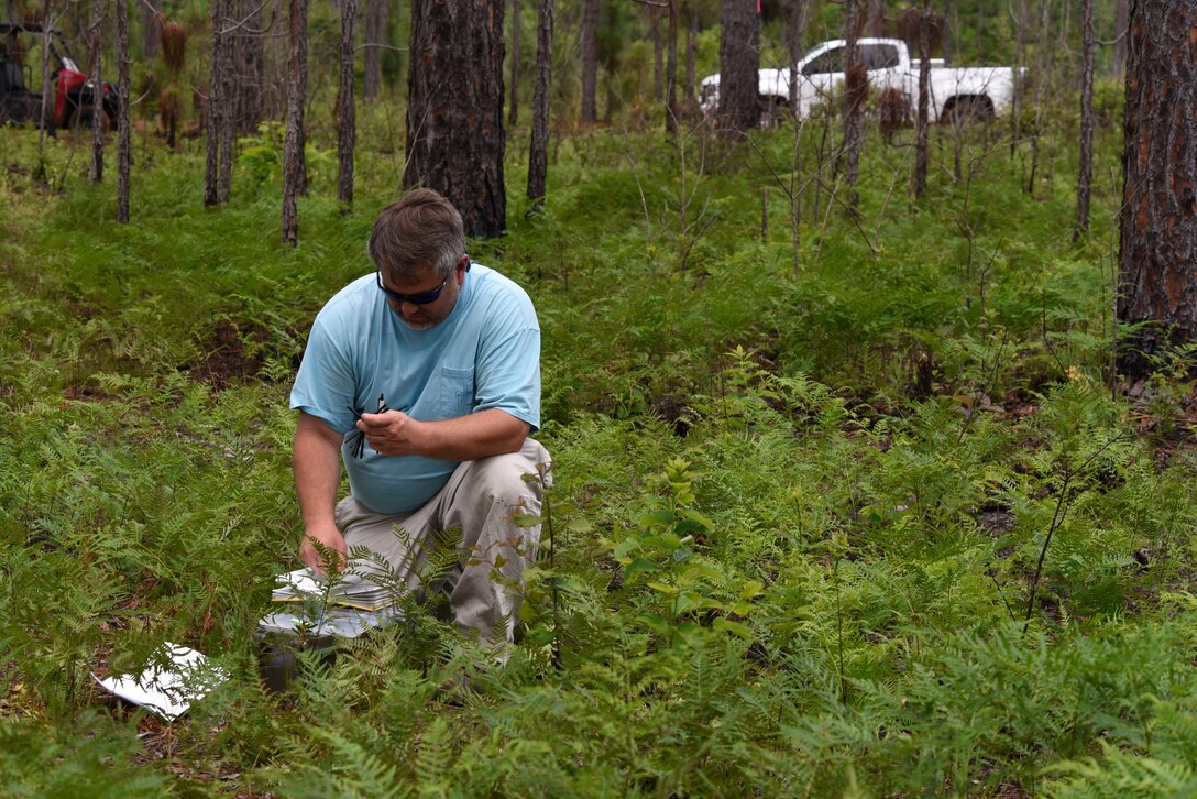 Chip Ridgeway, 20th Civil Engineer Squadron natural and cultural program manager, prepares identification bands for red-cockaded woodpecker hatchlings at Poinsett Electronic Combat Range at Wedgefield, S.C., May 30, 2018.