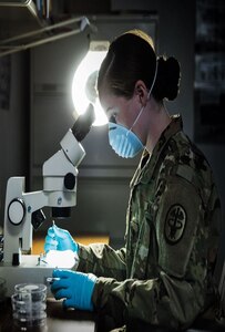 Caucasian female Soldier wearing OCP inside of medical facility wearing a medical mask looking into a microscope.