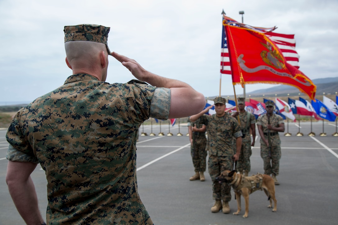 Lt. Col. Richard M. Martin, commanding officer of 1st Marine Raider Support Battalion, U.S. Marine Corps Forces, Special Operations Command, retires SOF multipurpose canine Nero aboard Marine Corps Base Camp Pendleton, Calif. on May 21, 2018.  Nero received a Certificate of Appreciation and the U.S. Military Working Dog Service Award after five years of service with two combat deployments. (U.S. Marine Corps photo by Cpl. Bryann K. Whitley)