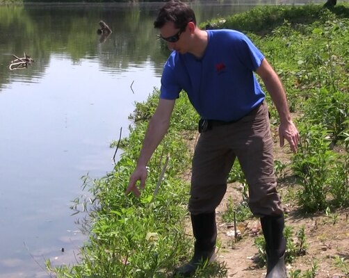 The Corps of Engineers ecosystem restoration project at Seneca Bluffs Natural Habitat Park, along the Buffalo River in South Buffalo, is approaching its final phase. The project team will plant native riverbank plant species to replace the invasive species like Japanese knotweed and phragmites removed last year.