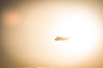 Could not load photo