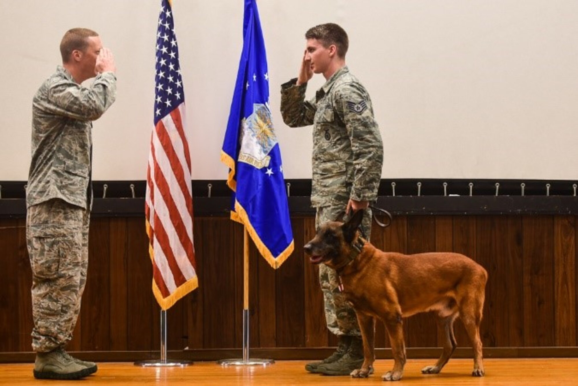 Military Working Dogs