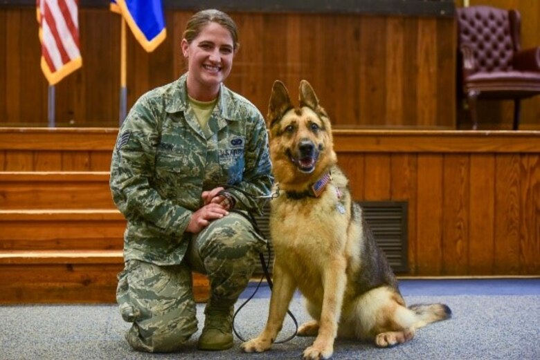 Military Working Dogs