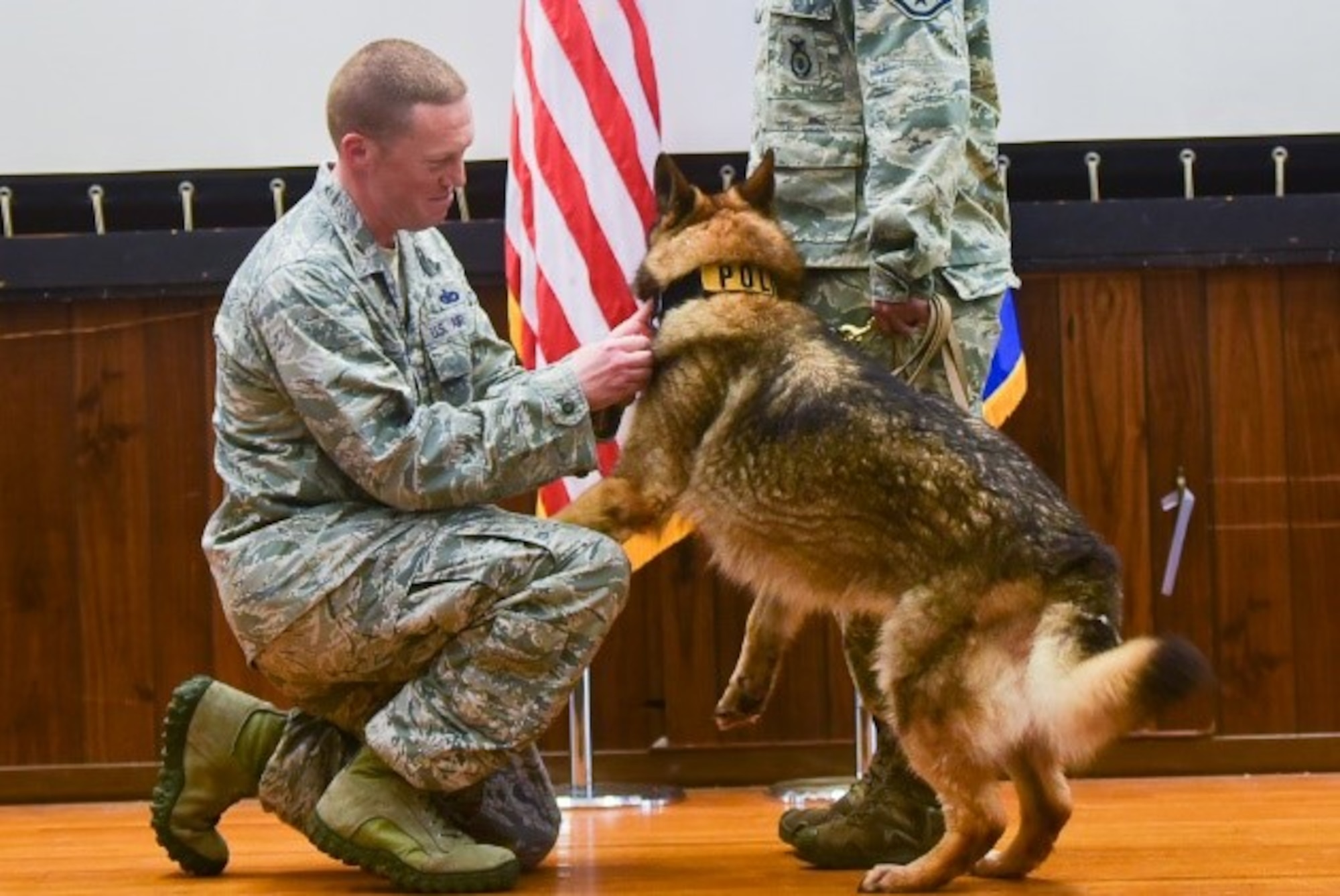 Military Working Dogs