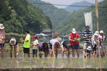 Station residents take to the fields, plant rice