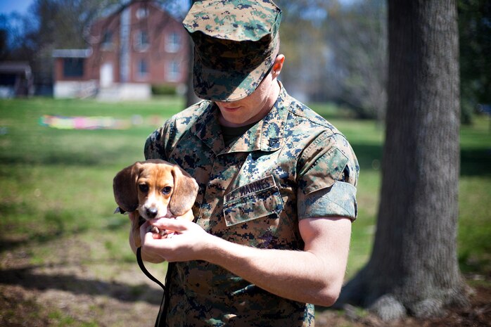 During the event there were activities for the whole family, food and an opportunity to create a human ribbon to recognize the Purple Ribbon Campaign, supporting Domestic Violence Awareness month. (Official USMC Photos by Sgt. Ryan M. Heintzelman)