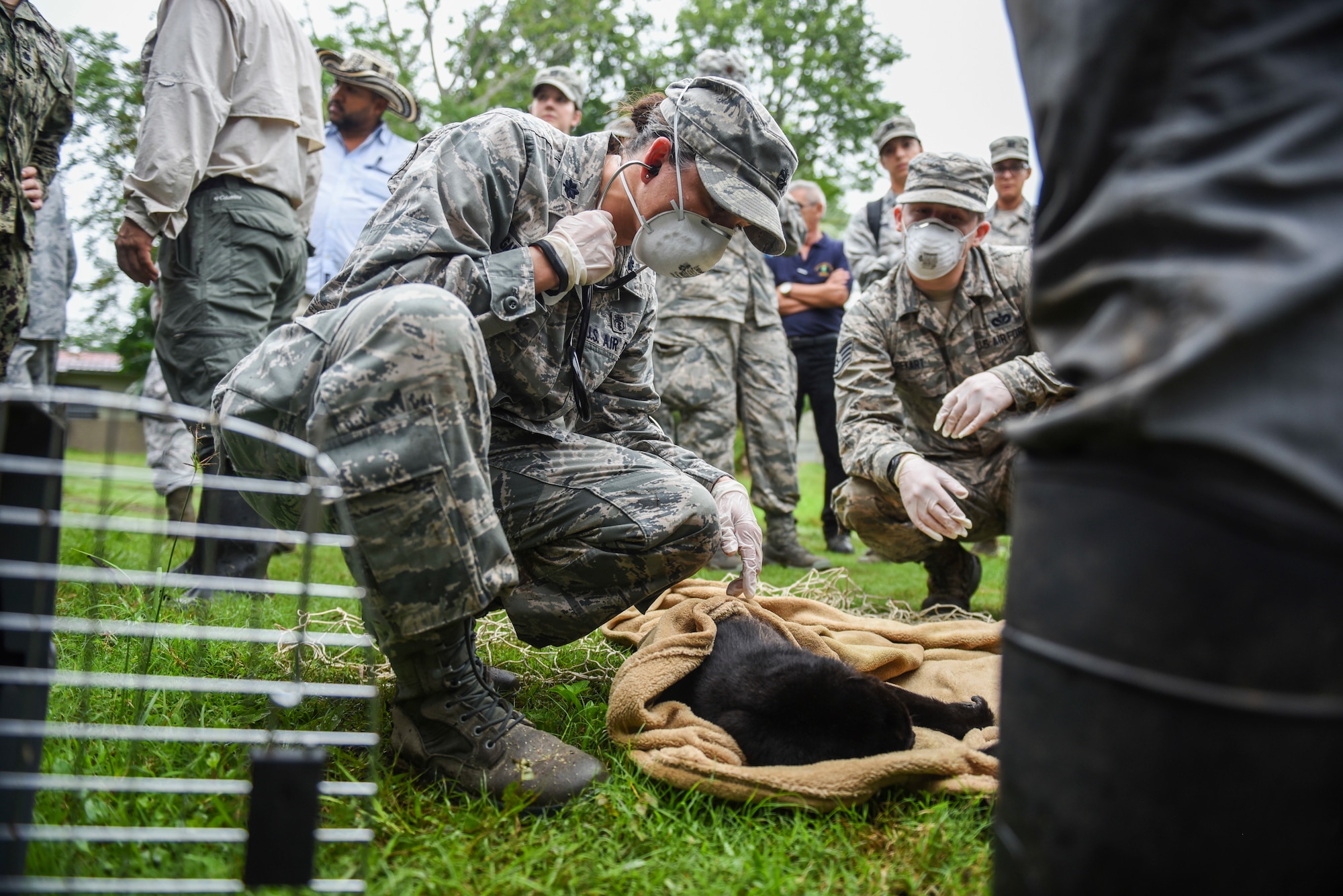 U.S. Air Force Lt. Col. Kelly Gambino-Shirley, 346th Expeditionary Medical Operations Squadron public health officer, deployed from Wright-Patterson Air Force Base in Ohio, checks the vital signs of a monkey in Meteti, Panama, June 6, 2018, during an Emerging Infectious Diseases Training Event as part of Exercise New Horizons 2018. (U.S. Air Force photo by Senior Airman Dustin Mullen)