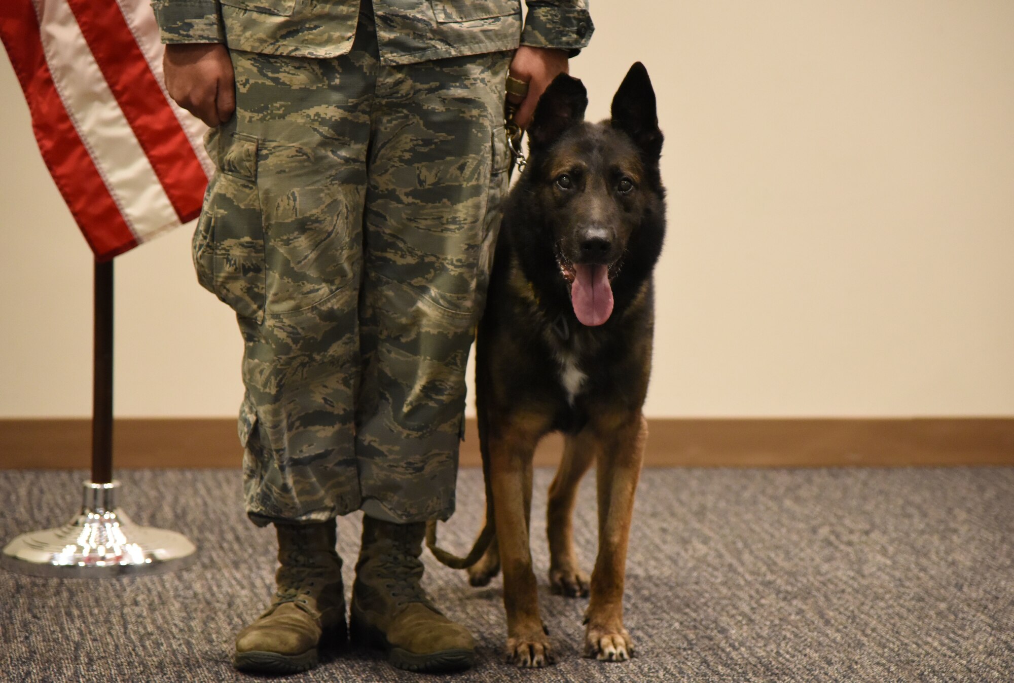 U.S. Air Force Staff Sgt. Matthew Ratchford, 81st Security Forces Squadron military working dog handler, grips the leash of Toki, 81st SFS military working dog, during a retirement ceremony at the Roberts Consolidated Aircraft Maintenance Facility at Keesler Air Force Base, Mississippi, June 8, 2018. Of Toki’s four deployments, Ratchford and Toki served one deployment together. (U.S. Air Force photo by Kemberly Groue)