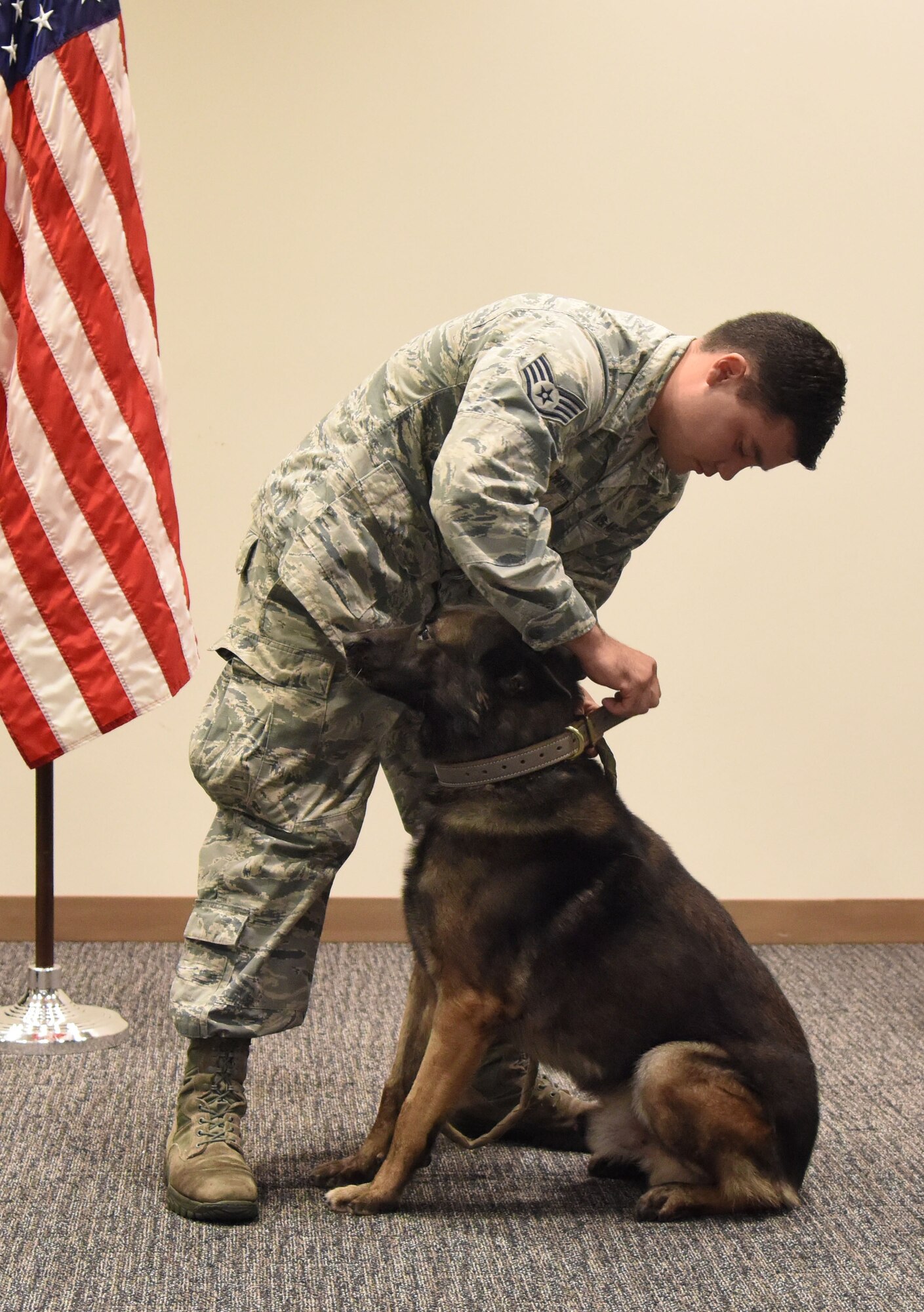 U.S. Air Force Staff Sgt. Matthew Ratchford, 81st Security Forces Squadron military working dog handler, fastens a leash on Toki, 81st SFS military working dog, during a retirement ceremony at the Roberts Consolidated Aircraft Maintenance Facility at Keesler Air Force Base, Mississippi, June 8, 2018. Toki retired with over 10 years of military service and following his retirement Ratchford will be adopting him. (U.S. Air Force photo by Kemberly Groue)