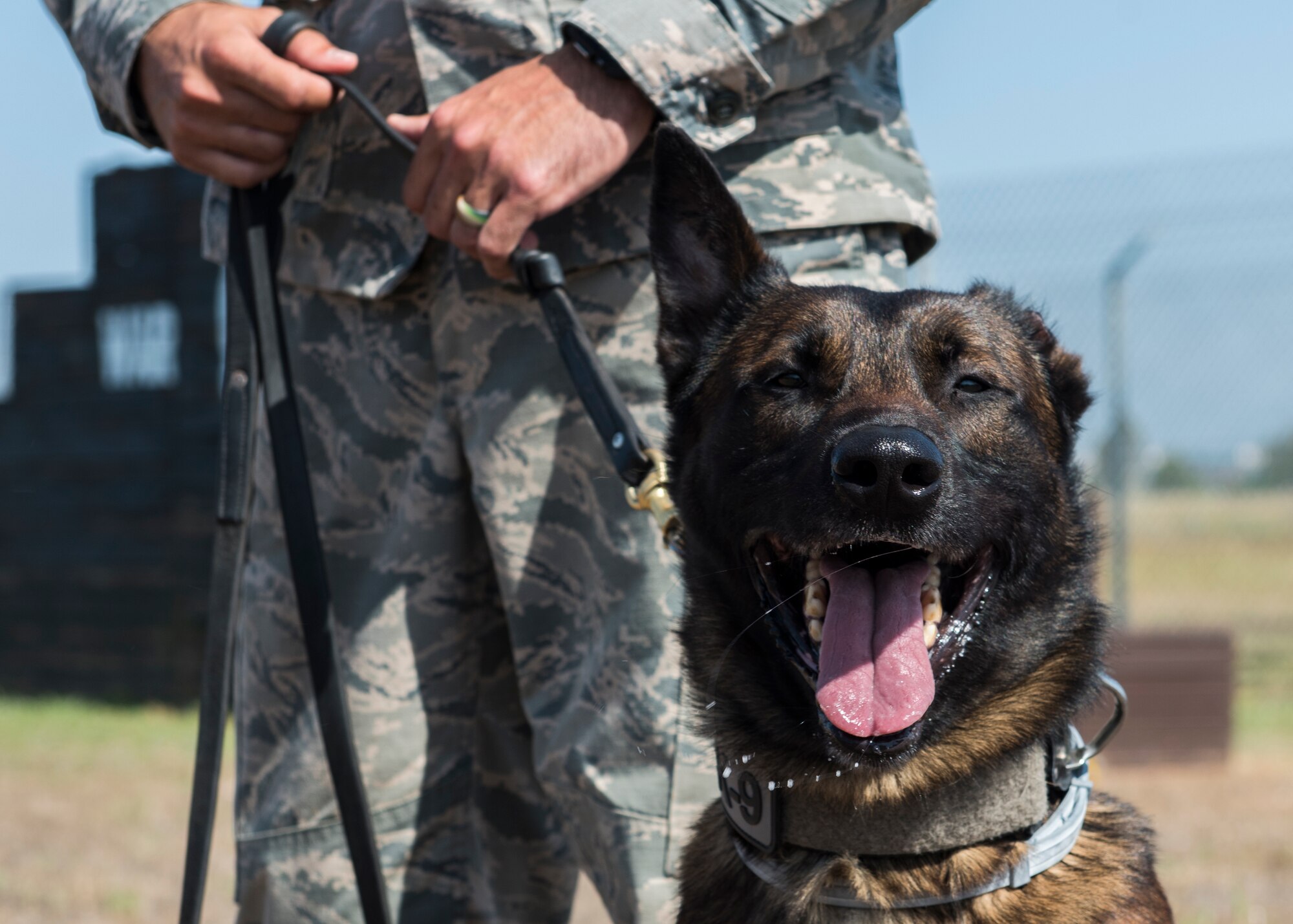 INCIRLIK AIR BASE, Turkey – U.S. Air Force military working dog Buck, assigned to the 39th Security Forces Squadron, prepares with his handler for a controlled aggression tactic demonstration at Incirlik Air Base, Turkey, June 8, 2018.