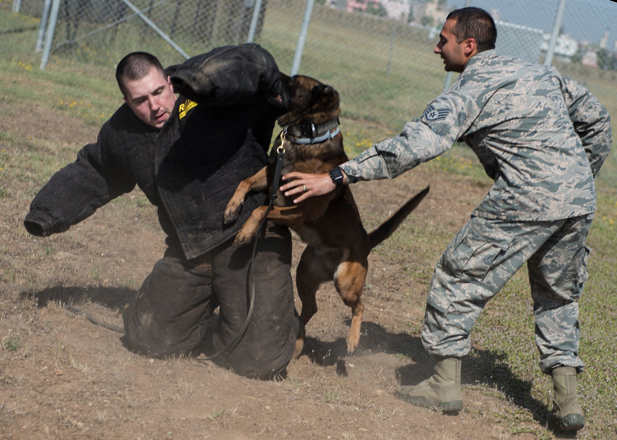 INCIRLIK AIR BASE, Turkey – U.S. Army Capt. James Gaffney, 39th Air Base Wing veterinarian, participates in a controlled aggression tactic demonstration with U.S. Air Force military dog Buck, assigned to the 39th Security Forces Squadron at Incirlik Air Base, Turkey, June 8, 2018.