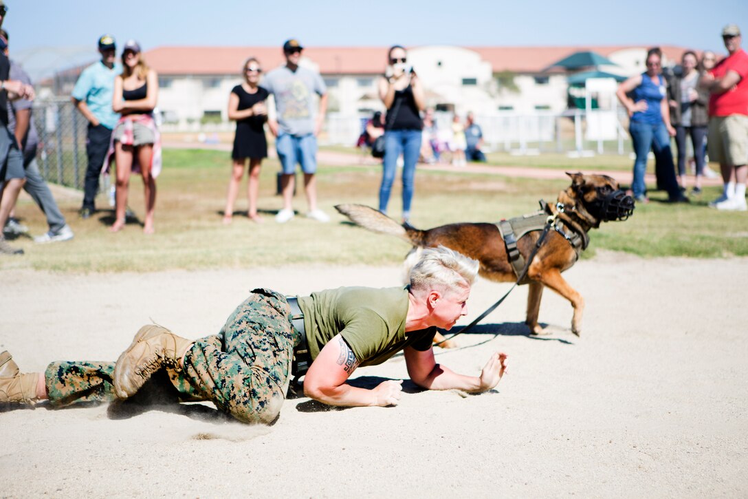 Cpl. Kaity Fishbough, a military working dog handler with Headquarters and Headquarters Squadron at Marine Corps Air Station Miramar, performs a low crawl alongside her dog Wando during an endurance course at “War Dawg Weekend” on MCAS Miramar, Calif., June 9.  MCAS Miramar hosted “War Dawg Weekend,” an annual working dog competition commemorating dog handlers in the military and in civilian law enforcement.  (U.S. Marine Corps photos by Cpl. Victor D. Mincy/Released)