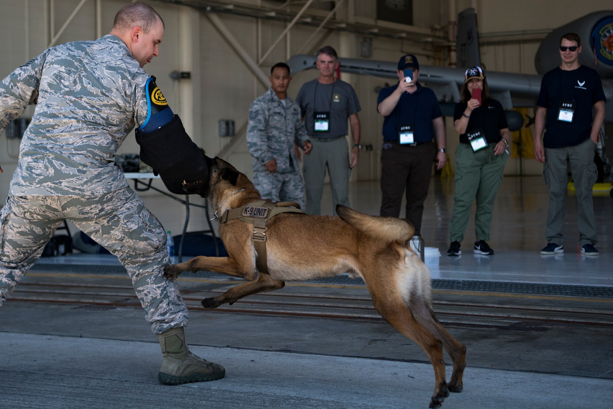 Military Working Dog (MWD) Ttoby bites Staff Sgt. Billy Benson, 23d Security Forces Squadron MWD handler, during the Joint Civilian Orientation Course 88 (JCOC), June 13, 2018, at Moody Air Force Base, Ga. The mission of JCOC is to increase the public’s understanding of the military through engagements between the armed forces and course members. (U.S. Air Force photo by Senior Airman Daniel Snider)