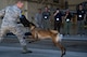 Military Working Dog (MWD) Ttoby bites Staff Sgt. Billy Benson, 23d Security Forces Squadron MWD handler, during the Joint Civilian Orientation Course 88 (JCOC), June 13, 2018, at Moody Air Force Base, Ga. The mission of JCOC is to increase the public’s understanding of the military through engagements between the armed forces and course members. (U.S. Air Force photo by Senior Airman Daniel Snider)