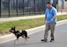 Ryan Kaono, a support agreement manager with the Air Force Installation and Mission Support Center, takes his service dog Romeo for a walk around the building. Romeo helps Kaono quickly recover from bouts of anxiety and night terrors related to enemy attacks while he was deployed to Saudi Arabia and Iraq. (U.S. Air Force photo by Armando Perez)