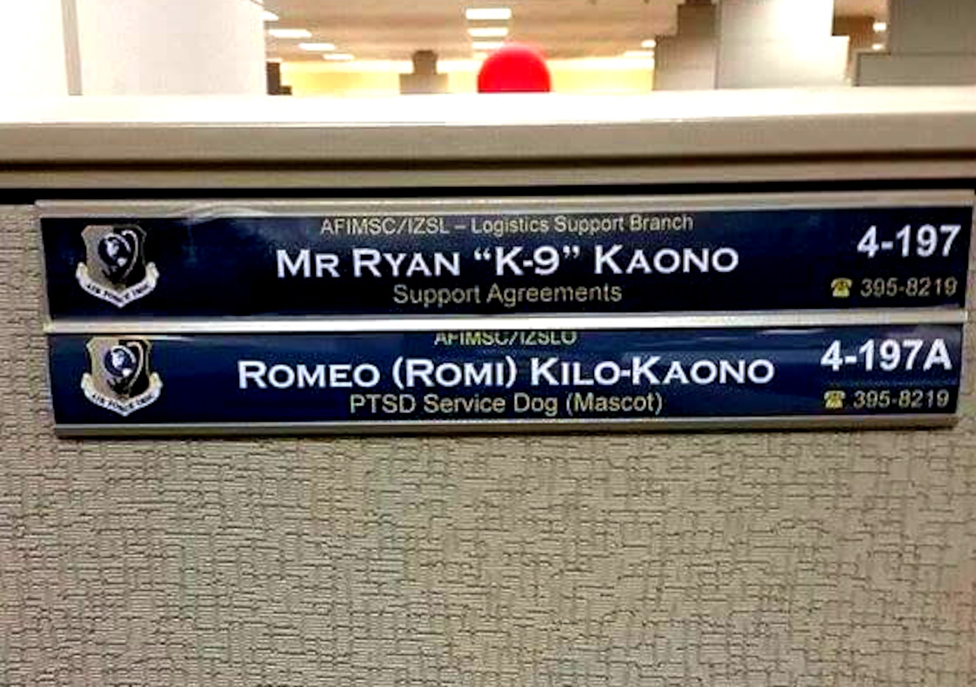 Ryan Kaono's work area clearly shows his cube mate and service dog Romeo belongs there too. (Courtesy photo)