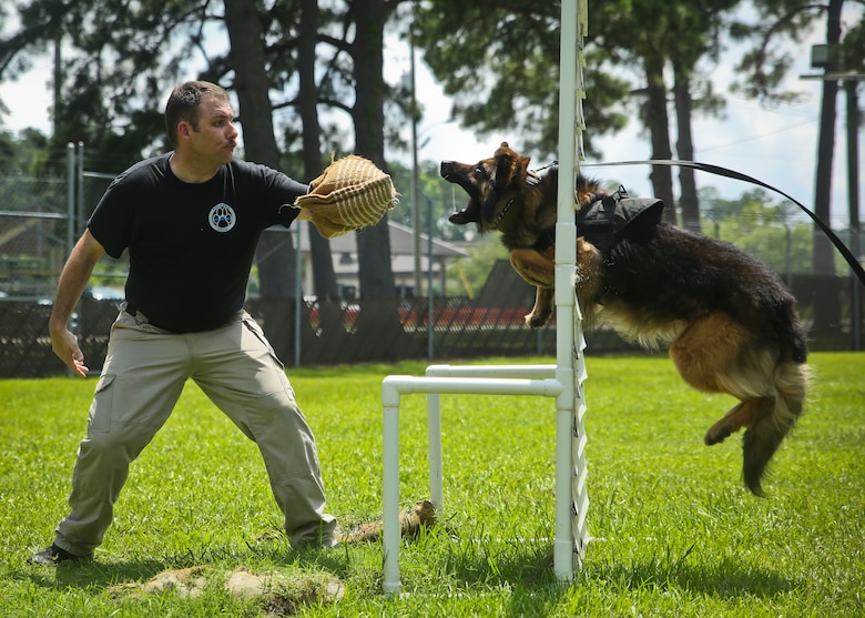 Officer Jack Hunt conducts bite training with his dog aboard Marine Corps Air Station Beaufort June 13. The military working dog section aids the air station in detecting contraband and conducting security checks. Hunt is a dog handler with the Provost Marshal’s Office aboard MCAS Beaufort.