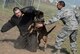 INCIRLIK AIR BASE, Turkey – U.S. Army Capt. James Gaffney, 39th Air Base Wing veterinarian, participates in a controlled aggression tactic demonstration with U.S. Air Force military working dog Buck at Incirlik Air Base, Turkey, June 8, 2018.