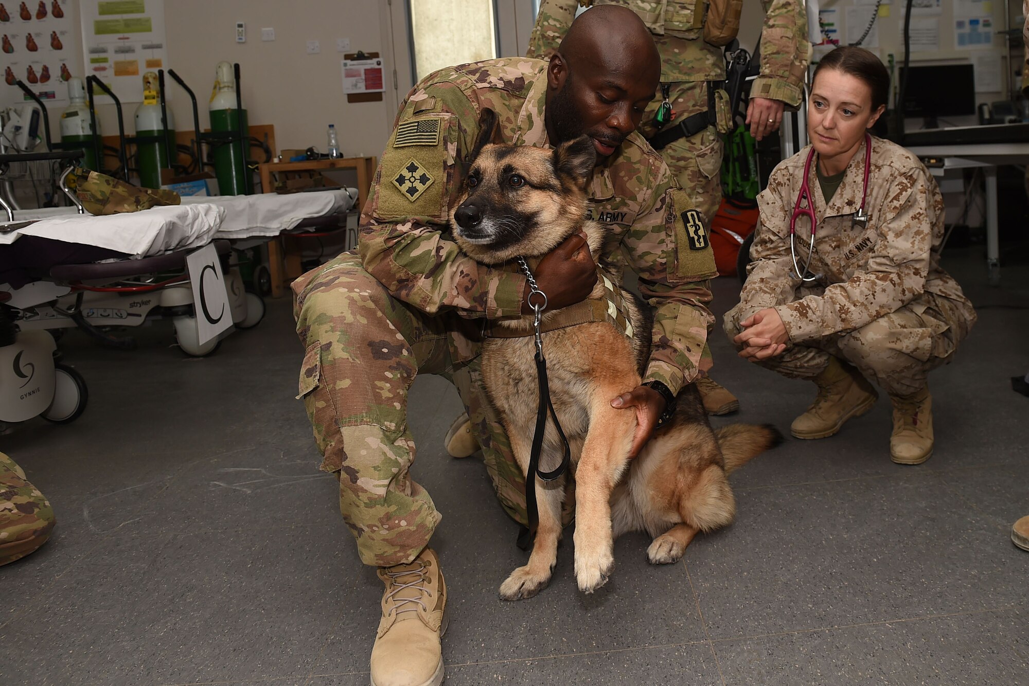 Solider hold the paw of a dog