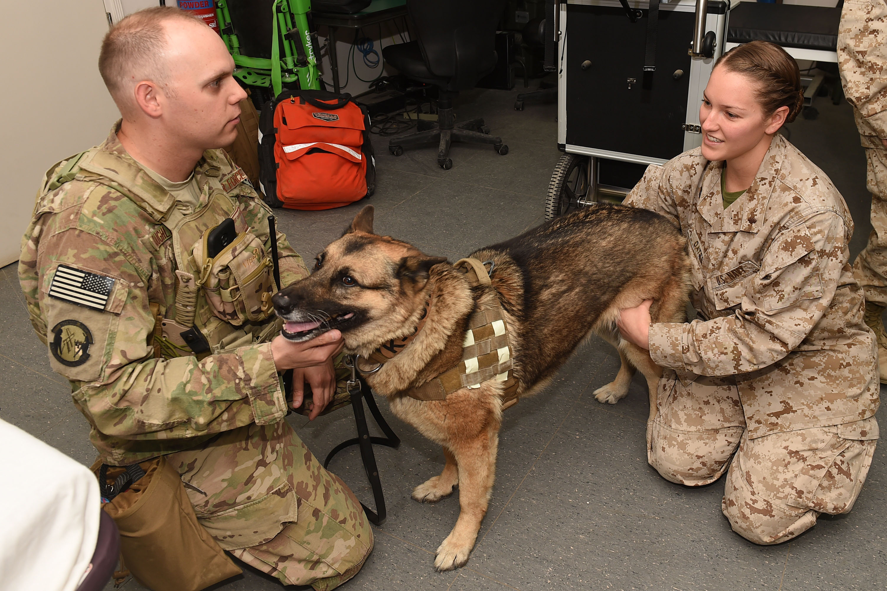 U.S. Navy medics learn lifesaving veterinary skills