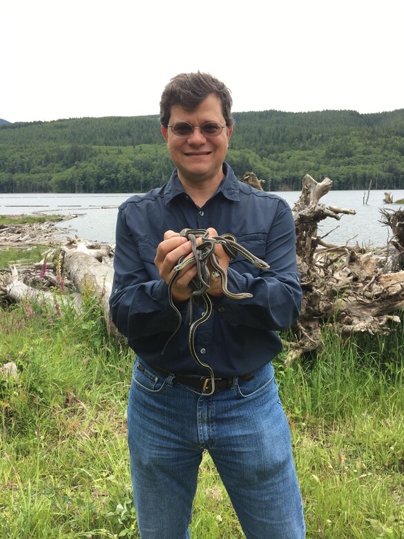 Seattle District fishery biologist Rafael Lopez-Gonzalez holds garter snakes above Howard Hanson Dam. Rafael is working with a team of herpetologist from U.S. Army Engineer Research and Development Center (ERDC) conducting field studies to survey for reptiles and amphibians at Mud Mountain Dam and Howard Hanson Dam.