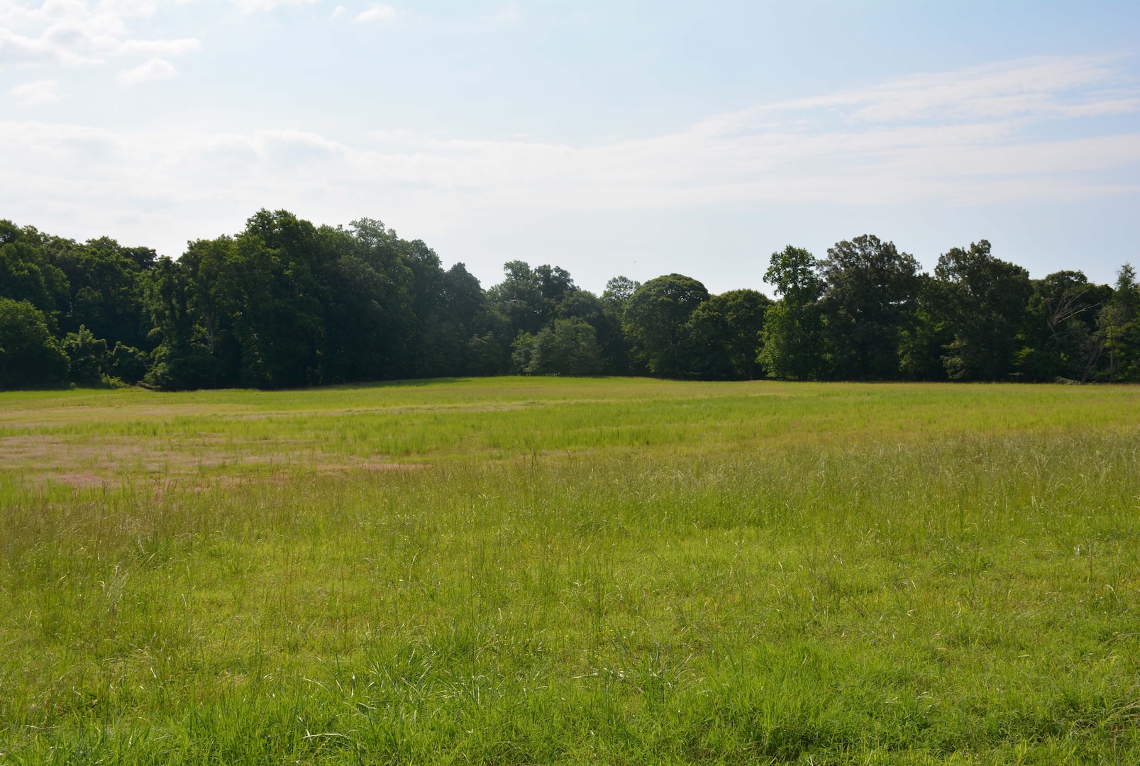 A field where underground fuel was formerly stored. The grass is green and trees appear in the distance.