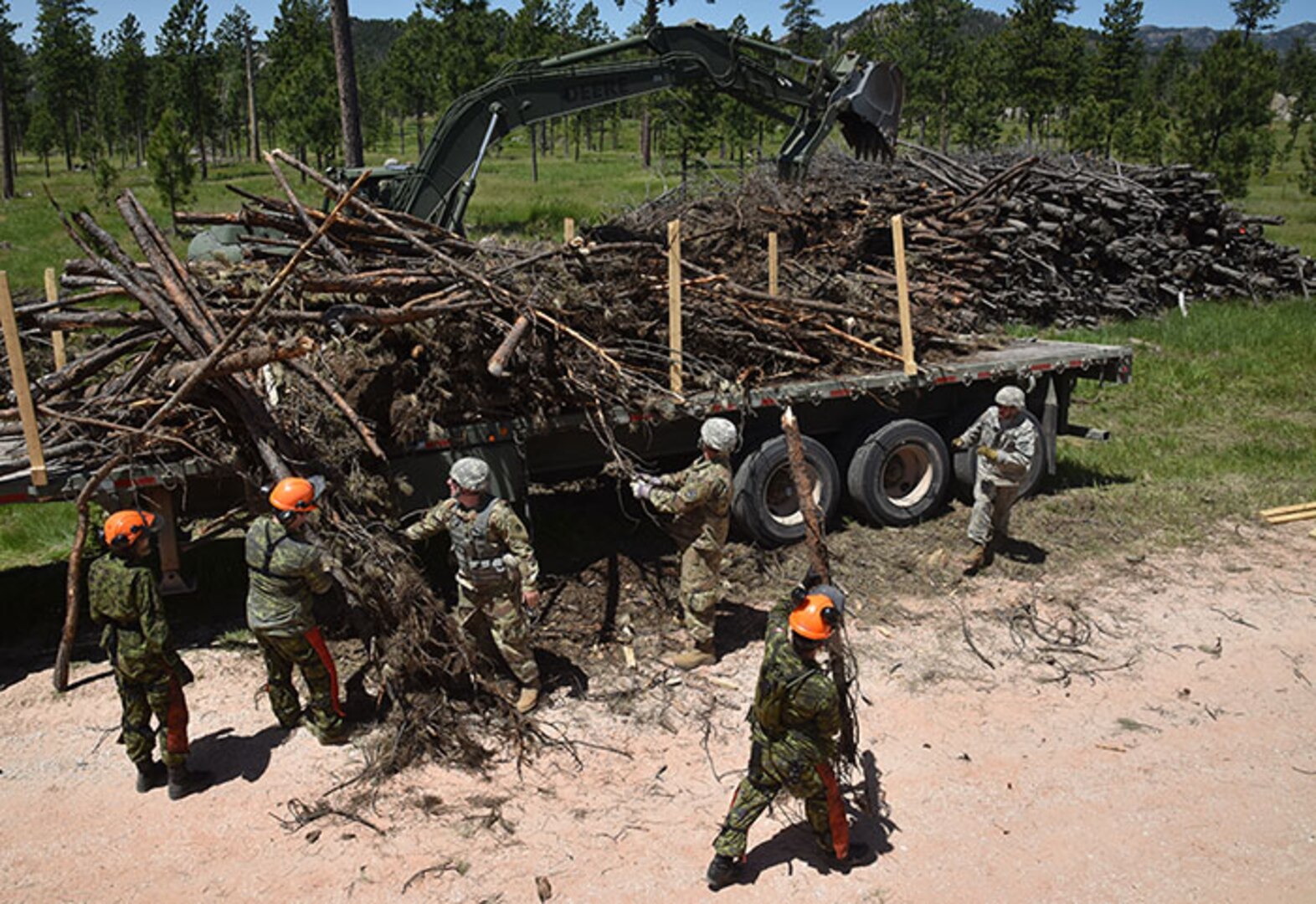 Soldiers from Task Force 38, Canadian Army, and Soldiers from Kansas Army Reserve and National Guard units, load timber onto trucks near Custer, S.D, June 12, 2018.