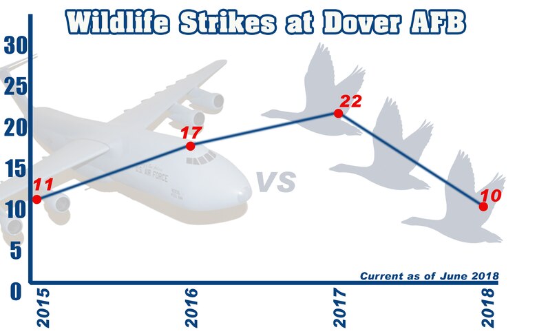 Team Dover installed the Merlin bird radar system June 8, 2018, at Dover AFB, Del. The new radar will provide the necessary information to help prevent bird strikes from occurring. (U.S. Air Force graphic/ Mauricio Campino)