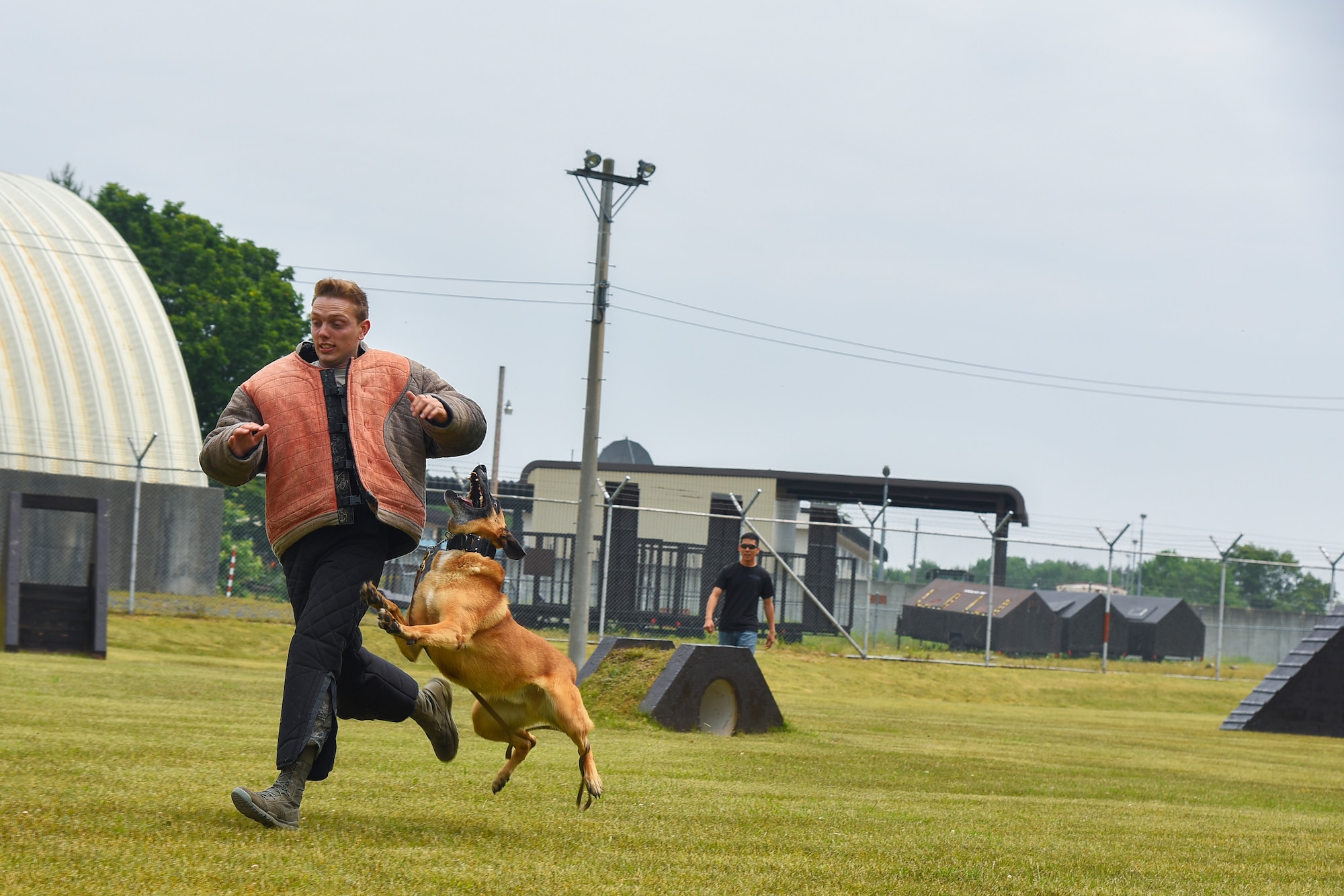 Cadet 2nd Class Ben Pagel, an Air Force Academy cadet, runs from a military working dog during a demonstration at Misawa Air Base, Japan, June 18, 2018. Before their junior year at the Academy, cadets visit an active duty Air Force base to learn more about the operational Air Force and its career fields. (U.S. Air Force photo by Airman 1st Class Collette Brooks)
