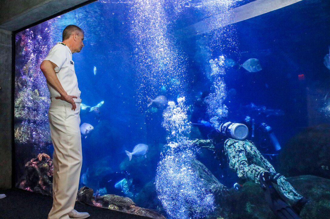 A diver swims in an aquarium tank as a sailor looks on from outside it.