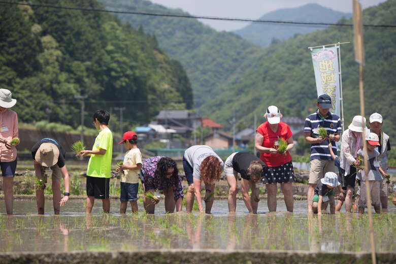 Station residents take to the fields, plant rice