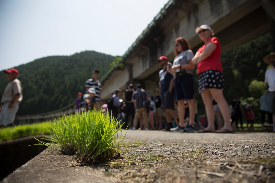 Station residents take to the fields, plant rice