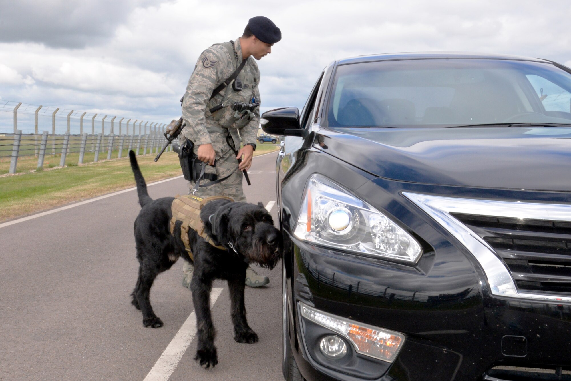 U.S. Air Force Staff Sgt. Alexandre Rogan, 100th Security Forces Squadron Military Working Dog trainer, and MWD Brock inspect a vehicle in response to a simulated security incident during an exercise at RAF Mildenhall, England, June 20, 2018. Such exercises are regularly scheduled to test responsiveness and readiness of base personnel. (U.S. Air Force photo by Tech. Sgt. David Dobrydney)