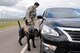 U.S. Air Force Staff Sgt. Alexandre Rogan, 100th Security Forces Squadron Military Working Dog trainer, and MWD Brock inspect a vehicle in response to a simulated security incident during an exercise at RAF Mildenhall, England, June 20, 2018. Such exercises are regularly scheduled to test responsiveness and readiness of base personnel. (U.S. Air Force photo by Tech. Sgt. David Dobrydney)