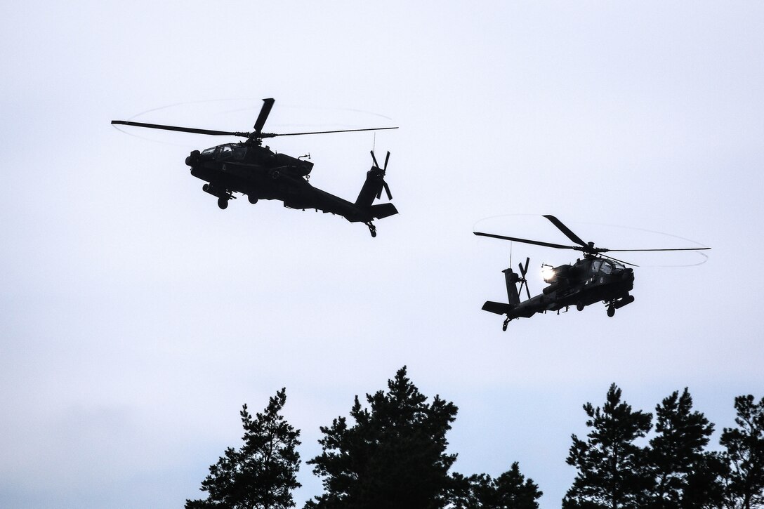 Two Army AH-64 Apache helicopters provide aerial support.