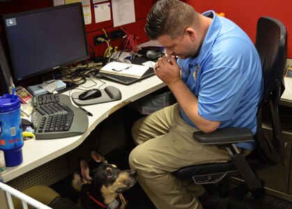 Ryan Kaono, a support agreement manager with the Air Force Installation and Mission Support Center, takes a moment to breathe while his service dog Romeo assesses the situation. Romeo helps Kaono quickly recover from bouts of anxiety and night terrors related to enemy attacks while he was deployed to Saudi Arabia and Iraq.