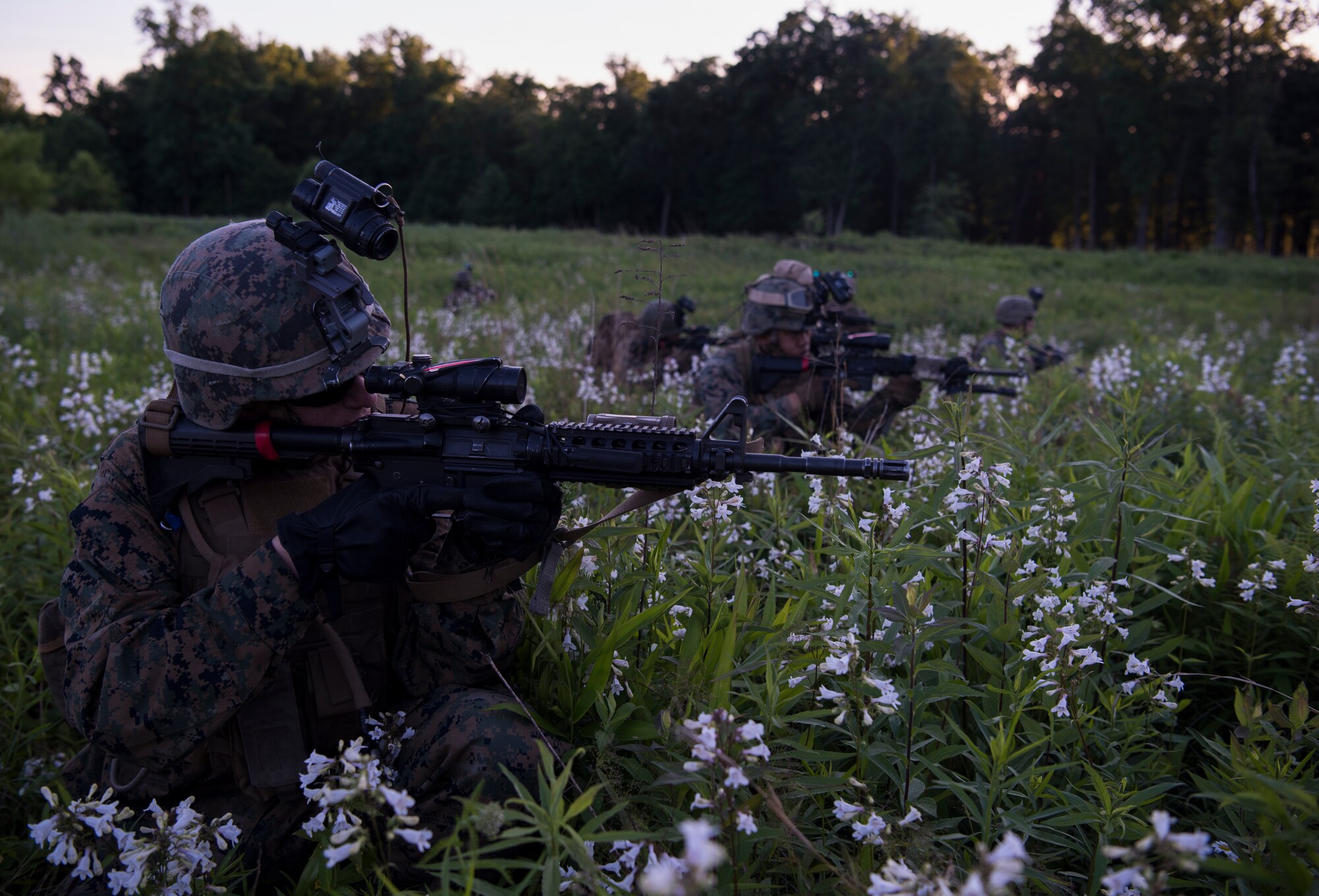 Company F, 2nd Battalion, 25th Marine Regiment Marines survey a field during the 2018 Marine Aircraft Group-49 Combined Arms Exercise on Fort Indiantown Gap, P.A., June 14, 2018. The reconnaissance was an exercise to practice rescuing crashed pilots while deflecting enemy fire and possible ambush. (U.S. Air Force photo by Airman Ariel Owings)