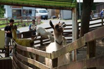 Iwakuni families explore cave, take voyage to safari land