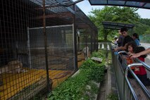 Iwakuni families explore cave, take voyage to safari land
