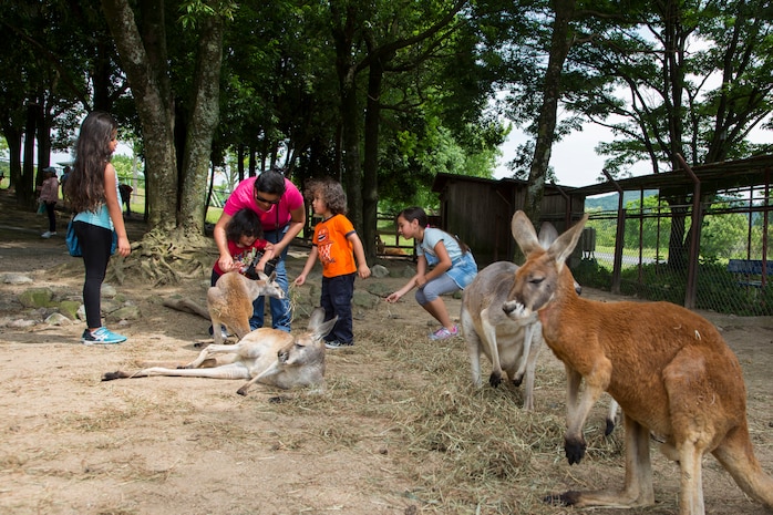 Iwakuni families explore cave, take voyage to safari land