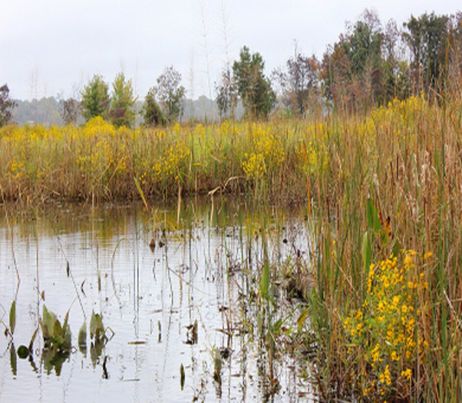 Army Corps, National Fish and Wildlife Foundation release draft Chesapeake Bay Comprehensive Plan for input. The plan currently identifies 3,840 candidate aquatic ecosystem restoration, enhancement and conservation projects for implementation throughout the Chesapeake Bay Watershed.