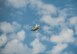 Capt. Andrew “Dojo” Olson, F-35 Heritage Flight Team pilot and commander, performs aerial maneuvers in an F-35A Lightning II at the Quonset State Airport in North Kingstown, RI, June 7, 2018. The F-35 is the world’s most technologically advanced fifth generation fighter aircraft. (U.S. Air Force photo by Airman 1st Class Alexander Cook)