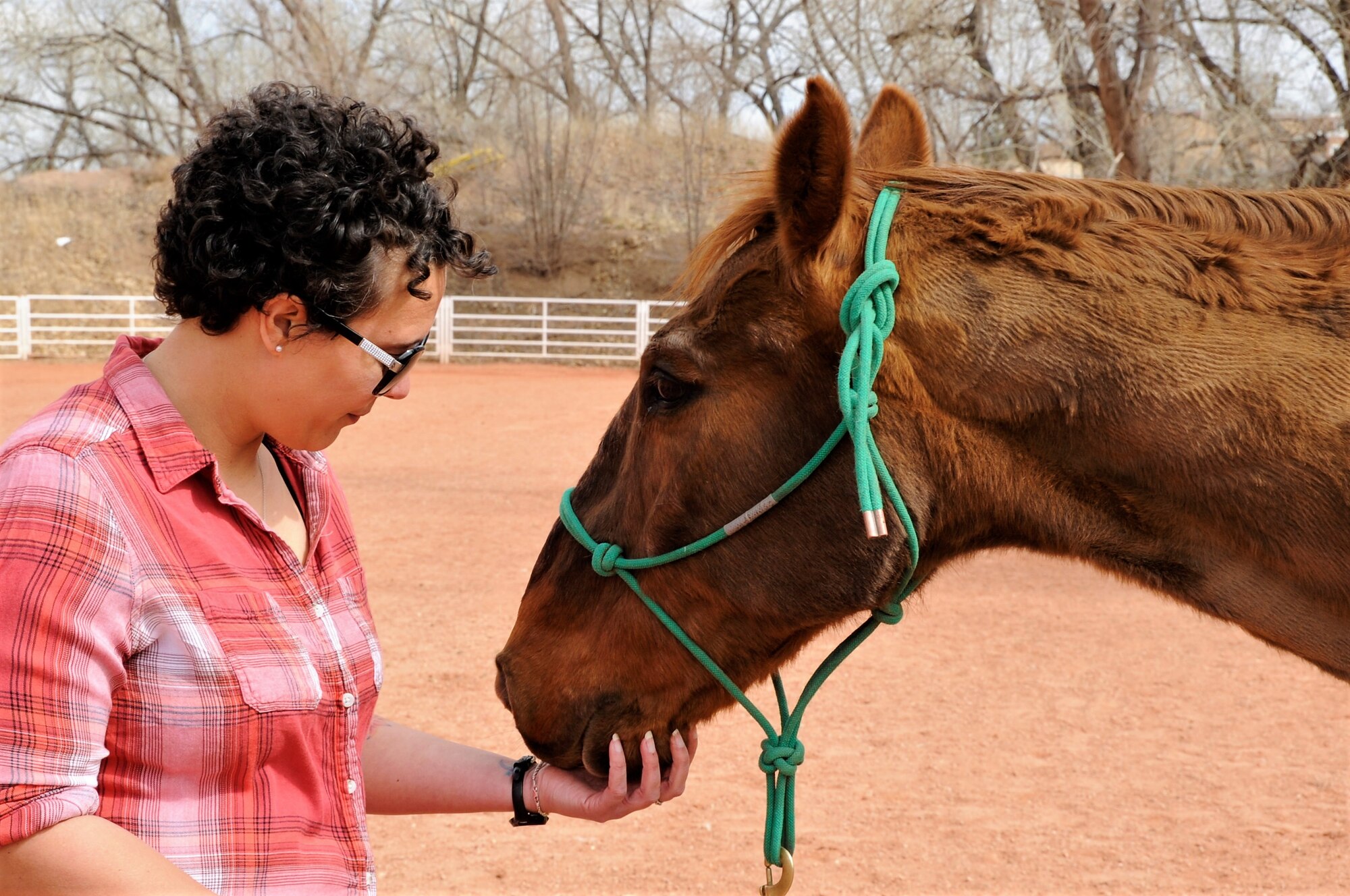 Tech. Sgt. Tanesha Fierro, an Air Force Reservist assigned to the 34th Aeromedical Evacuation Squadron, scratches a horse’s chin during an equine therapy session at the Norris Penrose Events Center in Colorado Springs, Colorado, April 4, 2018.