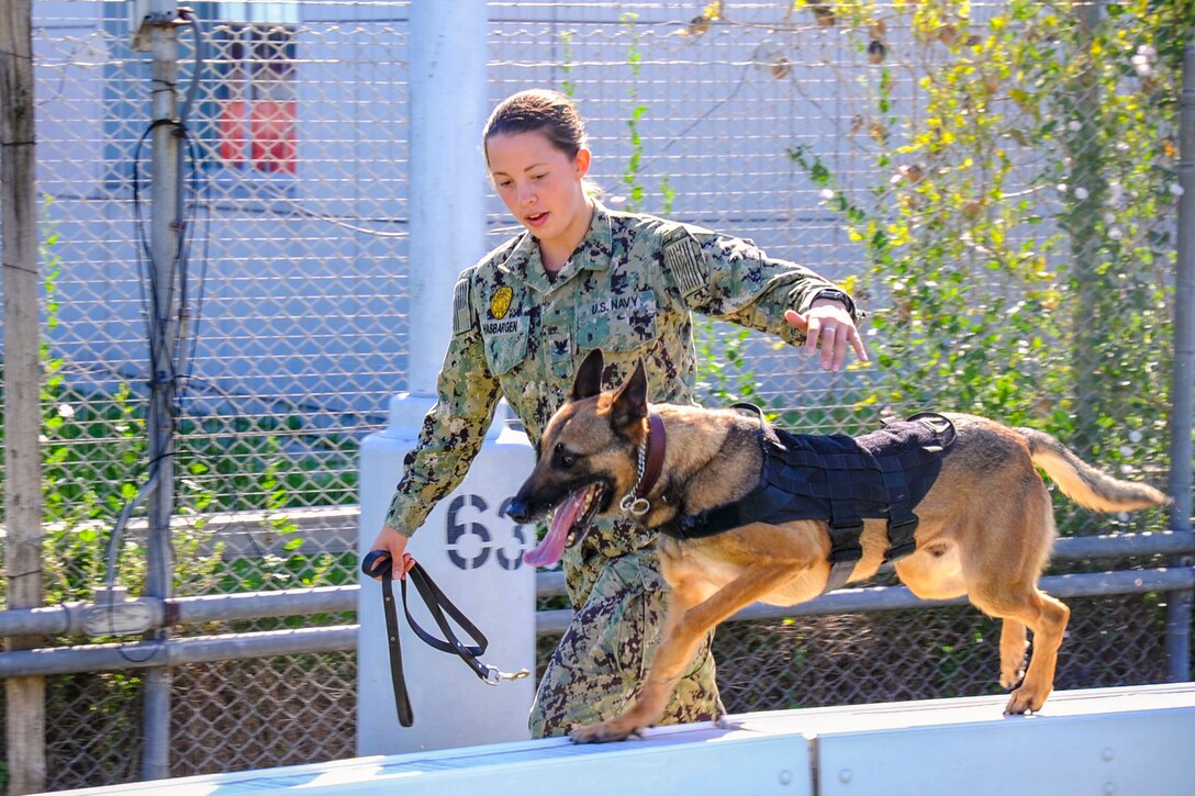 A sailor runs next to a dog.