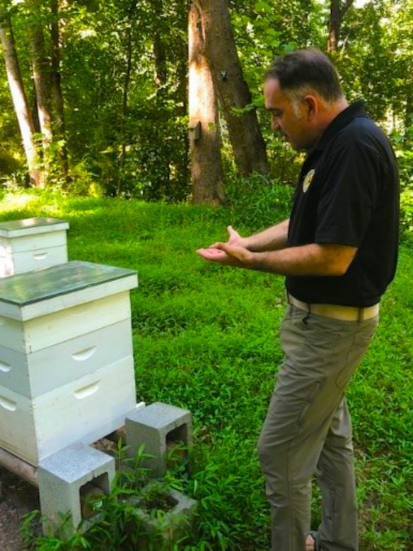 “Bee” cause team work helps soldiers