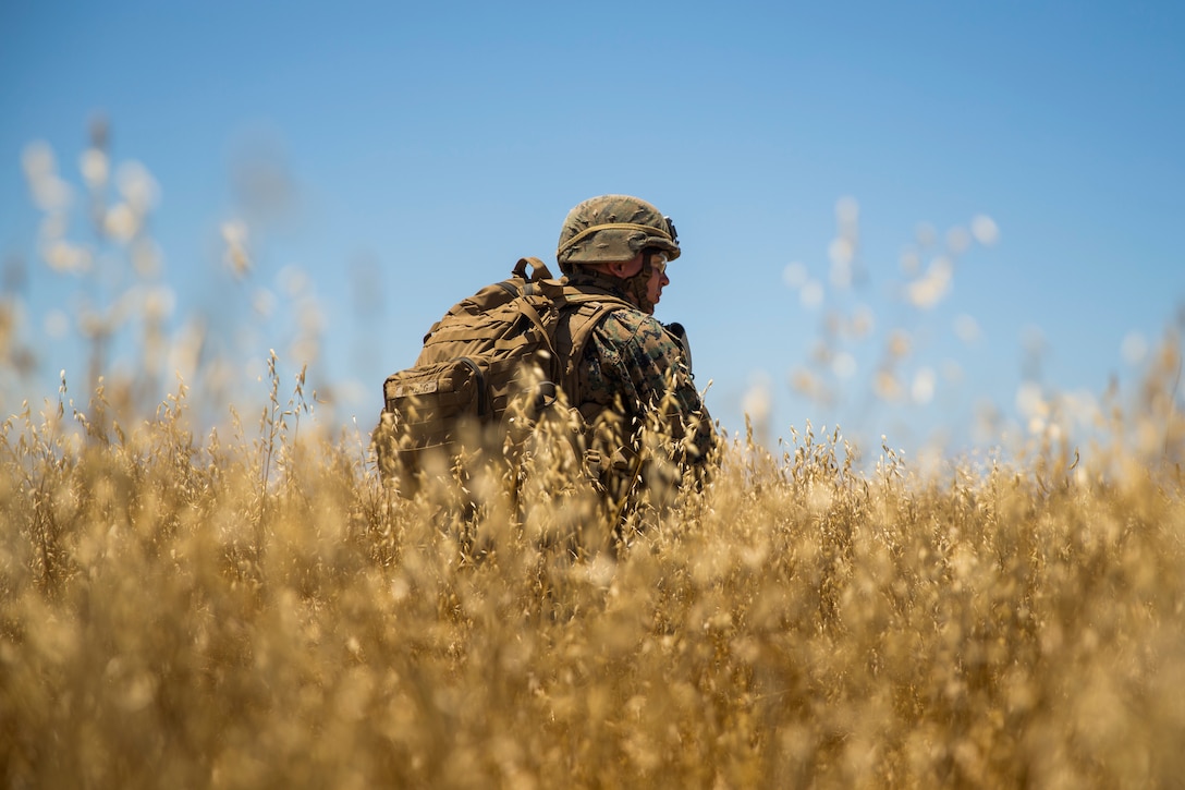 U.S. Marine Lance Cpl. James McKeag, a team leader with 1st Light Armored Reconnaissance Battalion, 1st Marine Division, provides security while conducting a patrol during the Rifle Squad Competition on Marine Corps Base Camp Pendleton, Calif., June 27, 2018. The units competed against each other to determine which squad will participate in the 1st MARDIV Infantry Competition in late August 2018.